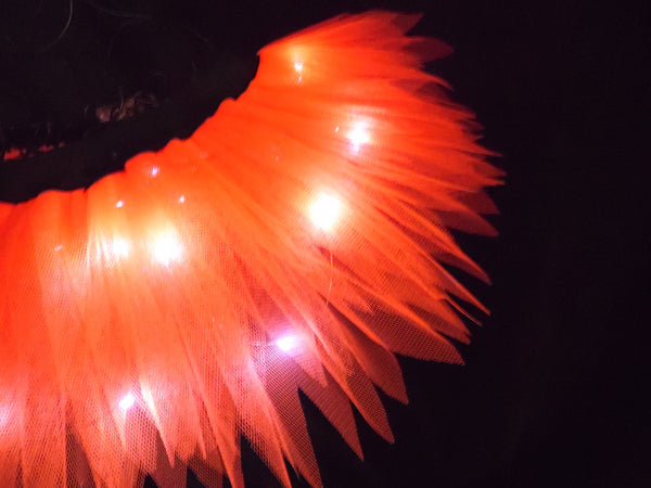 Fairy Lights Tutu